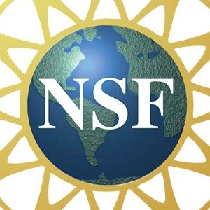 Virtual Backgrounds  NSF - National Science Foundation